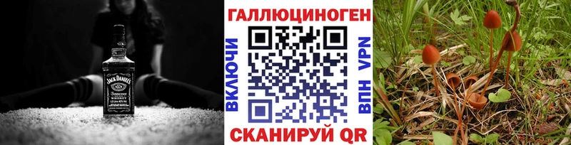 дарнет шоп  kraken рабочий сайт  Псилоцибиновые грибы GOLDEN TEACHER  Уяр 