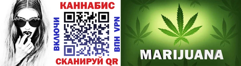 Бошки Шишки планчик  МЕГА ТОР  Уяр 